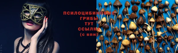 ECSTASY Абдулино