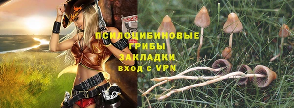 apvp Абаза