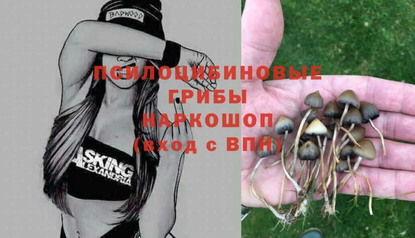 ECSTASY Абдулино