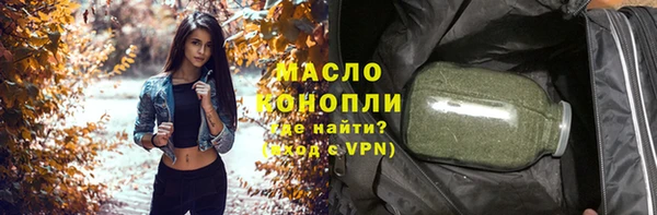 индика Нязепетровск