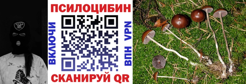 Галлюциногенные грибы Psilocybine cubensis  blacksprut вход  Яровое 